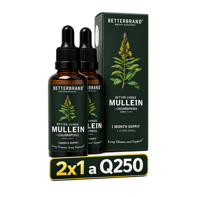 🌿Mullein + Chlorophyll™  | Apoyo Natural para el Bienestar Respiratorio